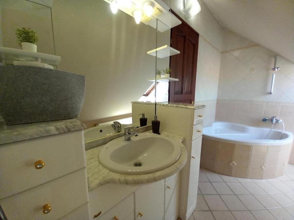 Appartement Lujza Apartman Goedoello Extérieur photo
